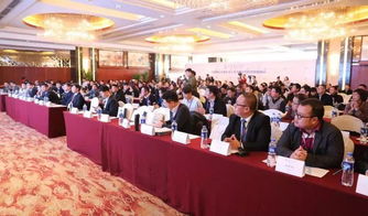 大目的地营销峰会召开 巅峰铸就 四新 旅游新模式